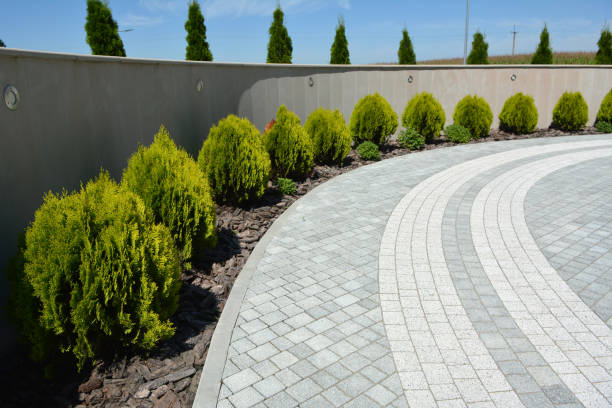 Best Luxury Driveway Paving Solutions in West Glendive, MT